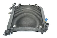 Radiatore acqua radiator usato  Italia