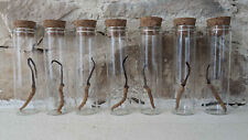 Chenilles zombies cordyceps d'occasion  Riez