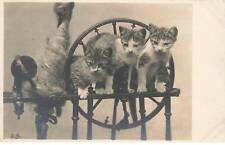 Katzen AG#MK809 Drei Kätzchen Auf Einer Maschine comprar usado  Enviando para Brazil