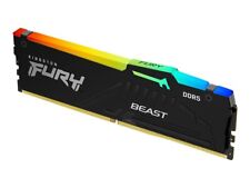 Kingston fury beast usato  Napoli