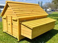 Mega large chicken for sale  UK
