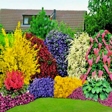 Mixed established garden for sale  NEWTOWNARDS
