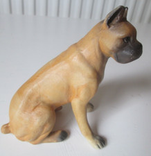 Realistic looking boxer for sale  LUTON
