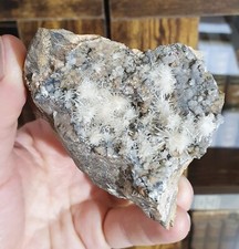 Aragonite usclas bosc d'occasion  Cournon-d'Auvergne