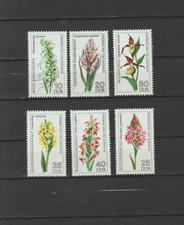 Rchideen ddr kompl gebraucht kaufen Rchideen ddr kompl gebraucht kaufen  Hohenstein-Ernstthal