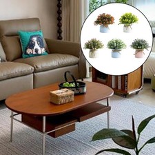 Piante vaso decorative usato  Spedire a Italy