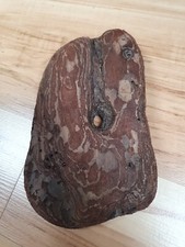 Ausgefallen extravagant rinde gebraucht kaufen  Werneuchen
