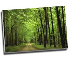 Green forest woodlands for sale  LONDON