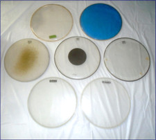 heads remo evans drum for sale heads remo evans drum for sale San Clemente