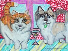 Munchkin cat drinking for sale  Colbert