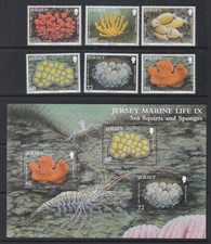 Jersey 2011 mint for sale  LEYBURN