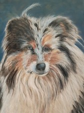 8x10 reproduction print for sale  Jonesborough