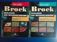 Madigan martinko brock usato  Cento