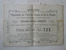 Catalogue vignes table d'occasion  Châtillon-en-Bazois