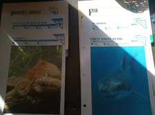 wildlife fact files for sale wildlife fact files for sale BELPER