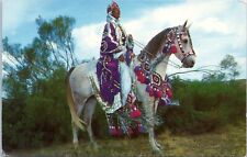 Arabian gelding arabian for sale  Memphis
