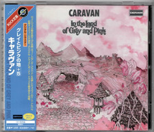 Caravan the land usato  Cernusco sul Naviglio
