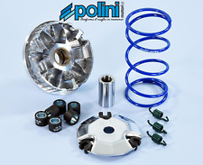 Polini performance variator d'occasion  Expédié en Belgium