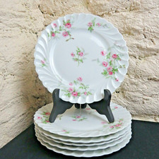 Assiettes plates porcelaine d'occasion  Thiaucourt-Regniéville