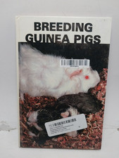 Breeding guinea pigs for sale  Greenville