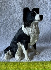 collie for sale collie for sale FRASERBURGH