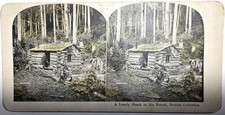1900s original stereoview for sale  Palos Heights