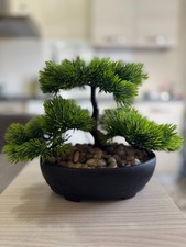 albero finto usato  Villachiara