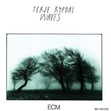 Waves rypdal terje gebraucht kaufen  Berlin