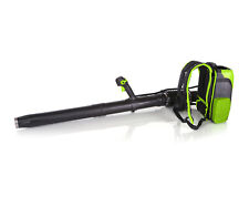 Greenworks 60v back for sale  SWINDON