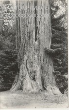 Zan rppc large for sale  Dunsmuir