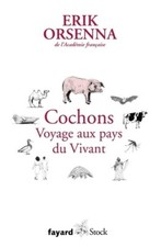 Cochons. voyage pays d'occasion  Hennebont