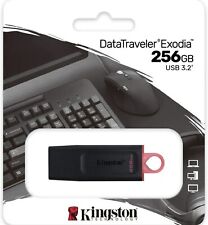 Pen drive 256gb usato  Casoria