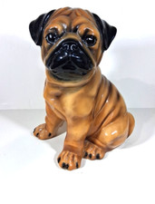 Large brown fawn for sale  Florence
