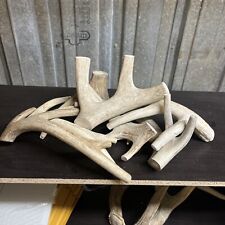 Whole deer antler for sale  Bradley