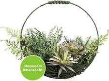 Türkranz creativ green gebraucht kaufen  Oyten
