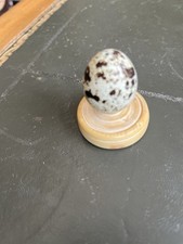 Cabinet curiosités oeuf d'occasion  Guilers