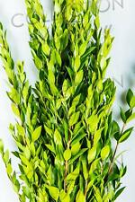 Fresh myrtle garland for sale  San Jose