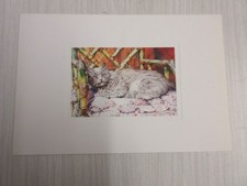 Carte postale aquarelle d'occasion  Orry-la-Ville