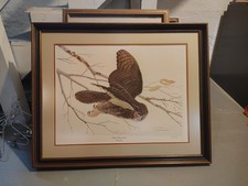 Vintage owl painting. for sale  Middletown