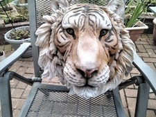 tiger head for sale tiger head for sale MIDDLESBROUGH
