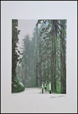David hockney yosemite gebraucht kaufen  Kaarst
