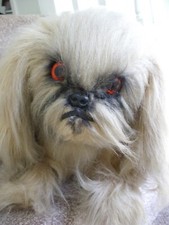 large dog teddy for sale large dog teddy for sale UK