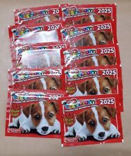 2025 figurine amici usato  Serramazzoni