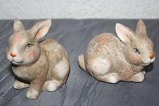 Stern sterhasen 2erset gebraucht kaufen  Polch