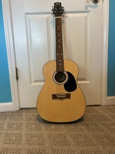 Peavey acoustic guitar for sale  Oxford