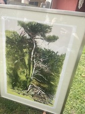 Litografia cazzaniga originale usato  Torrita Tiberina