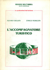 Accompagnatore turistico regio usato  Italia