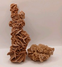 Große sandrose wüstenrose gebraucht kaufen  Neumünster