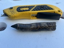 Spinosaurus fossil long for sale  Clearfield