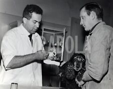 Vintage animali cani usato  Roma